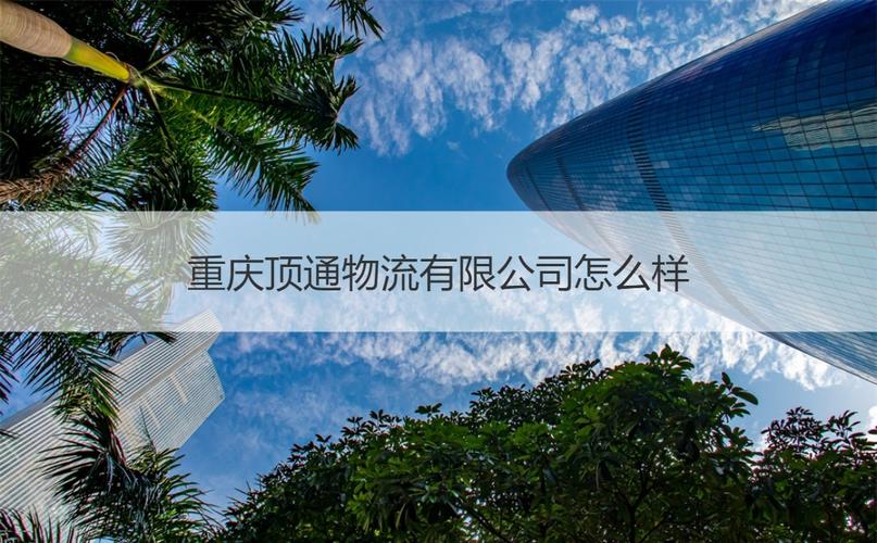 重庆顶通物流怎么样？员工待遇与公司信息深度解读