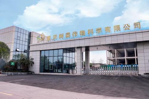 重庆树荣长寿新工厂全面建成，开启产业升级新篇章